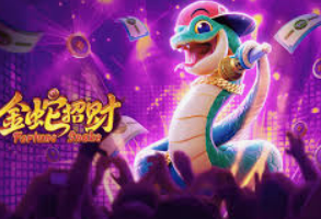 开云足球2024最新版