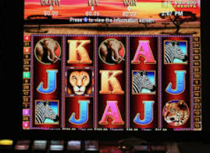 开云足球2024最新版